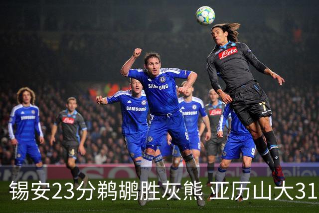 锡安23分鹈鹕胜灰熊 亚历山大31+10雷霆屠公牛